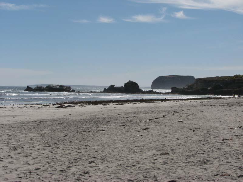 Seal Bay
